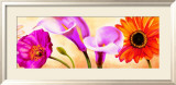 Danse de Fleurs II Prints by Pierre Viollet