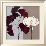 Merlot Contemplation Posters by Ivo 