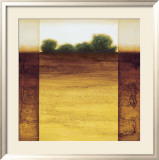 Earth Zone IV Prints by Lazlo Emmerich