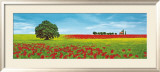 Dolci Colline Pósters por Giorgio Arnolfi