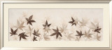 Fly of Leaves I Plakater av Jose Barbera