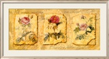 Secret Garden IV Print by Walter Kano