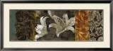 Evanescent II Posters par Keith Mallett