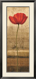 Poppy Panel I Póster por Andrea Kahn
