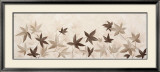 Fly of Leaves II Póster por Jose Barbera