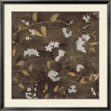 Blossoms I Poster von Chris Donovan