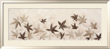 Fly of Leaves II Kunst av Jose Barbera