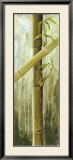 Selva tropical II Pósters por Maritta Haggenmacher