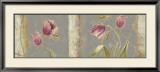 Tulip Concerto Art by Lily Thomas