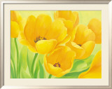 Spring Tulips Poster von Susanne Bach