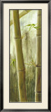 Rainforest III Arte por Maritta Haggenmacher