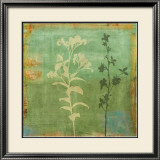 Eco-Floral II Posters par Chris Donovan