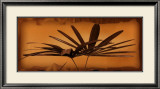 Sepia Palms II Art par Thomas Kalwa