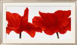 Red III Posters by Yvonne Poelstra-Holzhaus