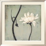 Ivory Blossom Plakater af Ivo