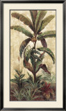 Palmeras exóticas II Láminas por Eduardo Moreau Palmeras exóticas II Láminas por Eduardo Moreau