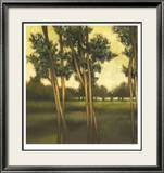 Through the Trees I Lámina enmarcada de edición limitada por Larson Through the Trees I Lámina enmarcada de edición limitada por Larson