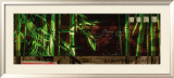 Bamboo Lounge Prints by Joadoor 