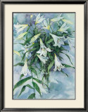 White Lilies Posters av Mae Book White Lilies Posters av Mae Book
