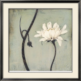 Ivo - Ivory Blossom Obrazy