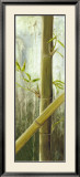 Selva tropical I Láminas por Maritta Haggenmacher