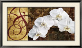 Moonlit Orchids Affiches par Keith Mallett