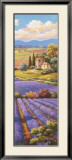 Fields of Lavender I Láminas por Sung Kim