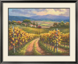 Vineyard Hill I Lámina por Sung Kim