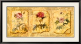 Secret Garden IV Posters by Walter Kano