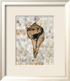 Pearlized Shell Poster by Regina-Andrew Design 