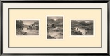 Triptyque de saumon insaisissable Reproduction encadrée édition limitée par Douglas Adams