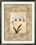 Premiere I Prints by Eric Waugh