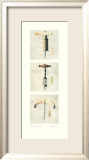 Sommelier II Affiches par Amy Melious