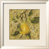 Fruit Panel II Poster by Kris 