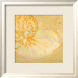 Shoreline Shells I Affiches par Lorraine Vail