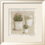 Ciboulette en Pot Posters by Véronique Didier-Laurent