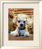 Mazel Dog Prints by Robert Mcclintock