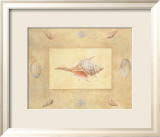 Shells II Poster av Bell Shells II Poster av Bell