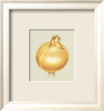 Onion Plakater av Alex Bloch Onion Plakater av Alex Bloch