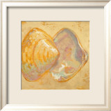 Shoreline Shells II Art par Lorraine Vail