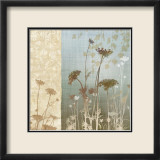 Delicate Fields I Affiches par Conrad Knutsen