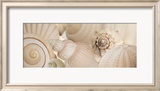 Shells I Art by Jan Lens