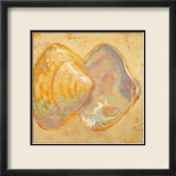 Shoreline Shells II Poster von Lorraine Vail