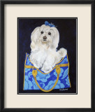 Maltese Clutch Print by Carol Dillon