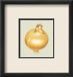 Onion Kunst av Alex Bloch Onion Kunst av Alex Bloch