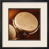 Bongo Arte por Steve Cole
