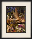 The Flower Fairy Poster par Howard David Johnson