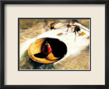 Feast of Fires Prints by Deborah Roundtree