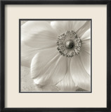 Poppy Study II Láminas por Sondra Wampler Poppy Study II Láminas por Sondra Wampler