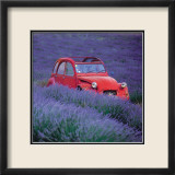 La 2 CV aux Lavandes Pósters por Julien Lautier La 2 CV aux Lavandes Pósters por Julien Lautier